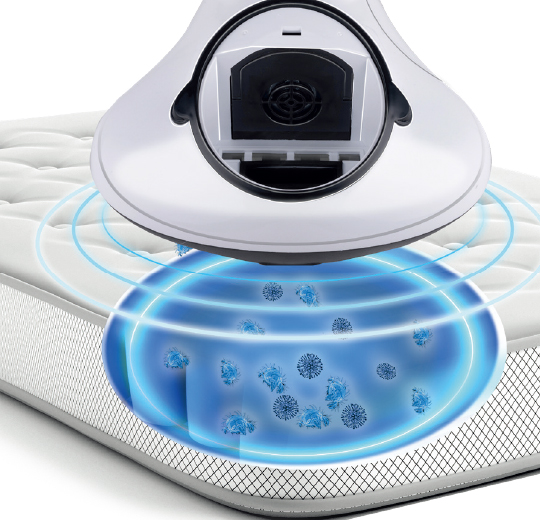 Bed Vacuum – Catalogue product 100
