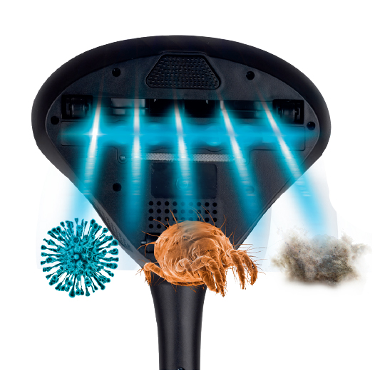 Bed Vacuum – Catalogue product 100