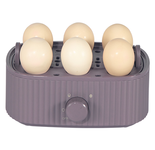 EGG – Product 487