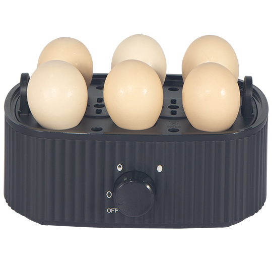 EGG – Product 487